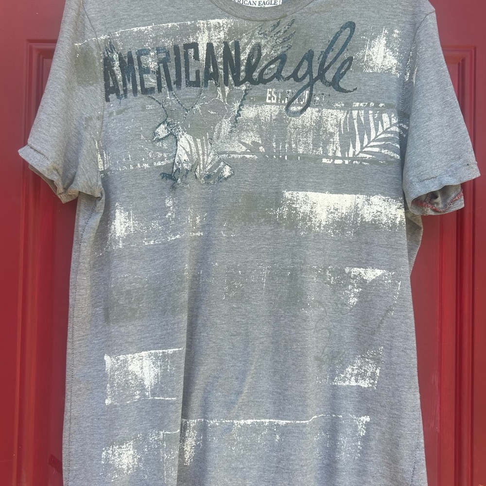 American Eagle Outfitters Graphic Gray Tee size large classic fit